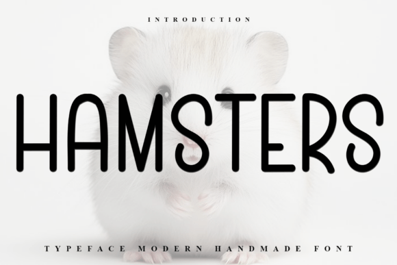 Hamsters: A Font for Thoughtful Design
