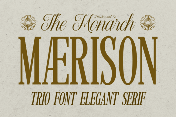Maerison: A Serif Font That Elevates Your Web Design