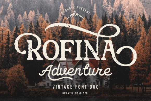 Rofina: A Font That Elevates Your Brand’s Visual Story